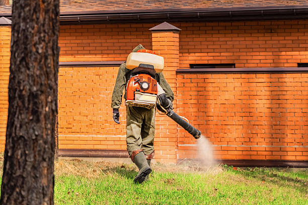 Trusted Rodent Control service in Glen Rock, NJ - Nex Pest Control